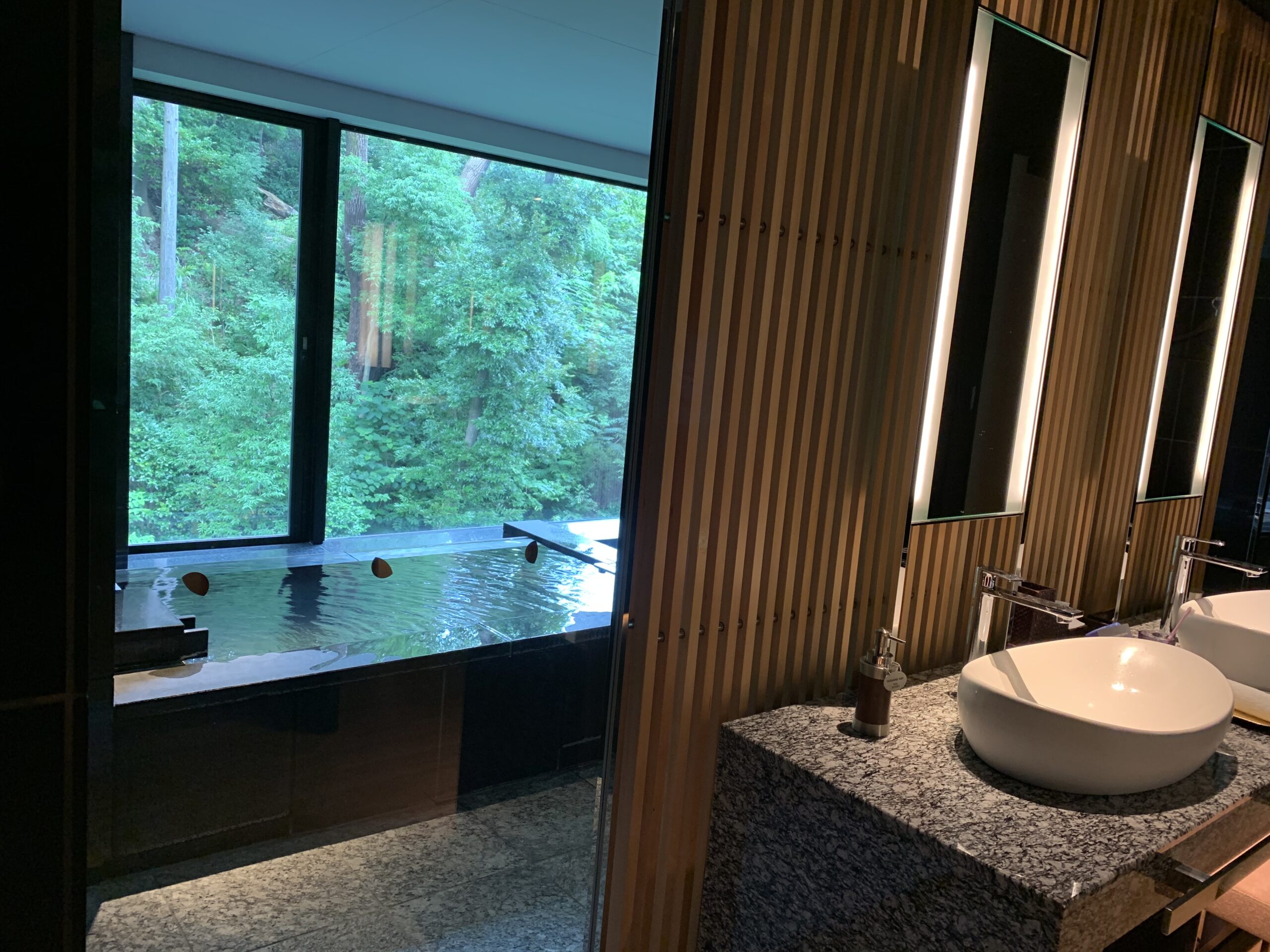 Japanese Luxury resort hotel Exiv